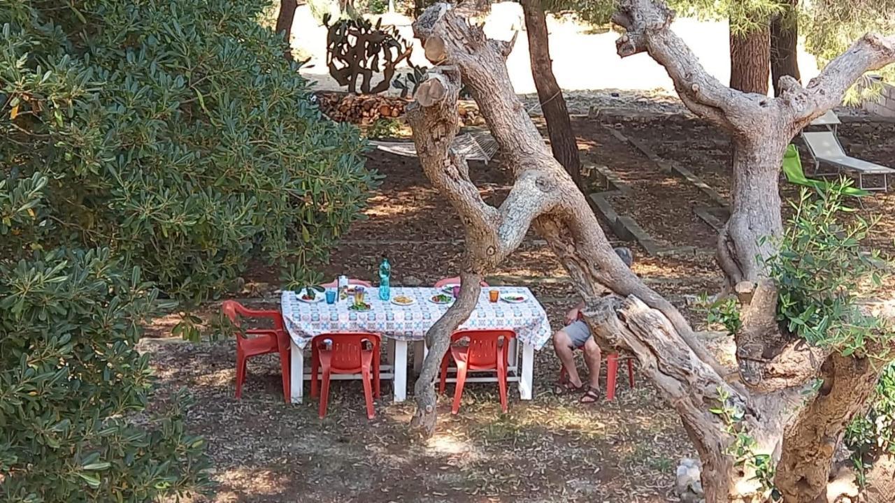 Villa Maria In Puglia Con Pineta Vicino Al Mare Торе Суда Екстериор снимка