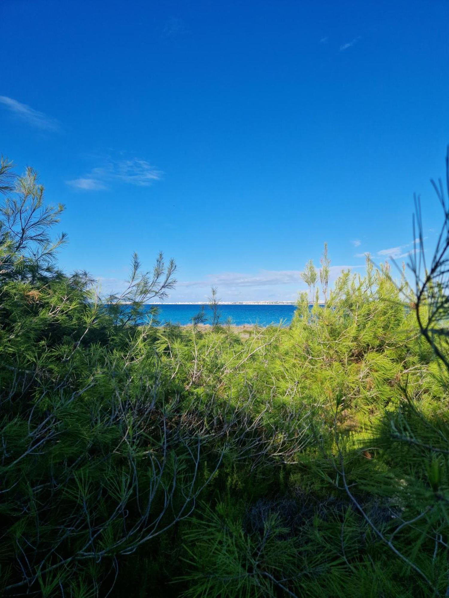 Villa Maria In Puglia Con Pineta Vicino Al Mare Торе Суда Екстериор снимка