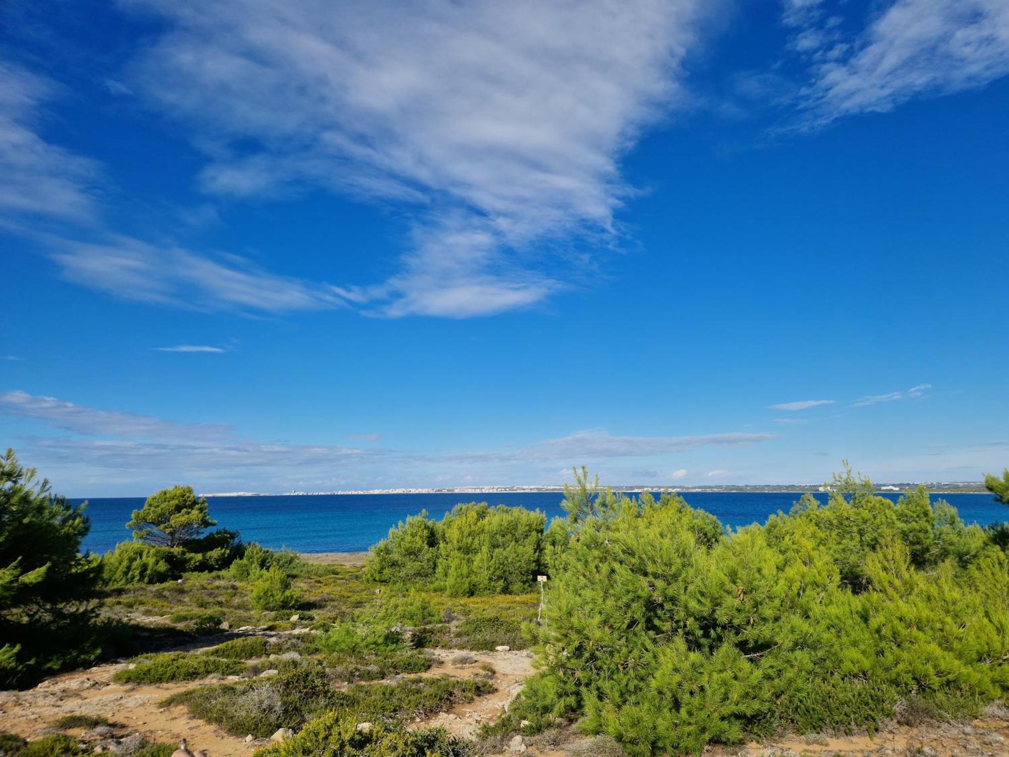 Villa Maria In Puglia Con Pineta Vicino Al Mare Торе Суда Екстериор снимка
